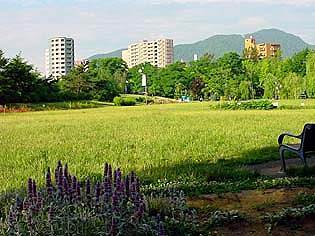 hiroba040705.jpg
