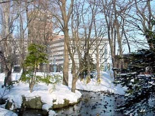 horohirahasiura.jpg