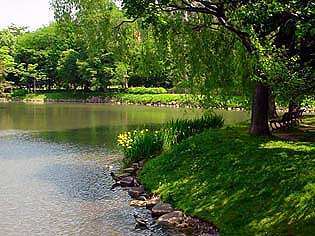 ikeGrn040628.jpg