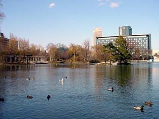 ikeHtel040404.jpg