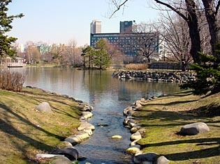 ikeMina040414.jpg