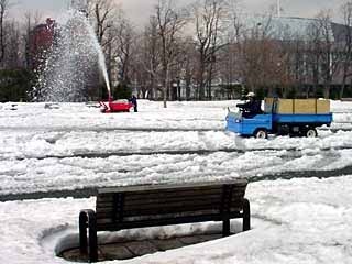 josetu0414.jpg