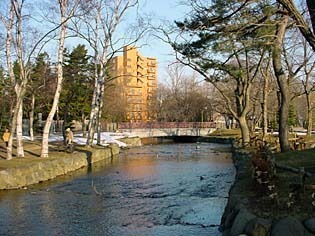 kamokamo040405.jpg