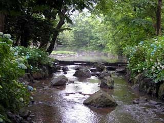kamokamogawa.jpg