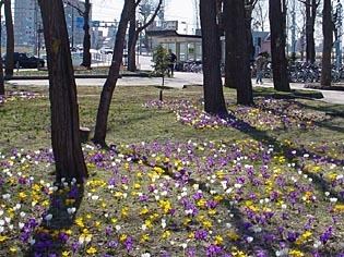 krksEki040414.jpg