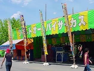 ootobai.jpg