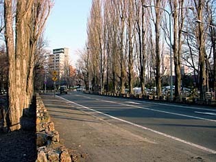 pobura040405.jpg