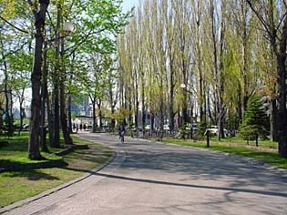 popura040512.jpg