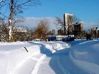 roadoHorohira.jpg