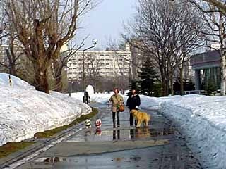 sanpo0406.jpg