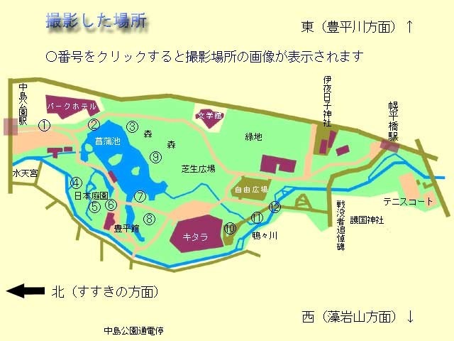 satueibasho0511.jpg
