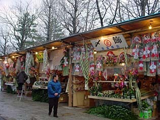 tosinoiti.jpg