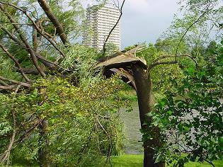 tower0908.jpg