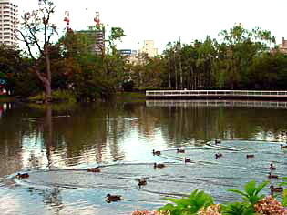trail0911.jpg