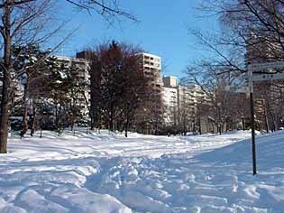yukiMainroad.jpg